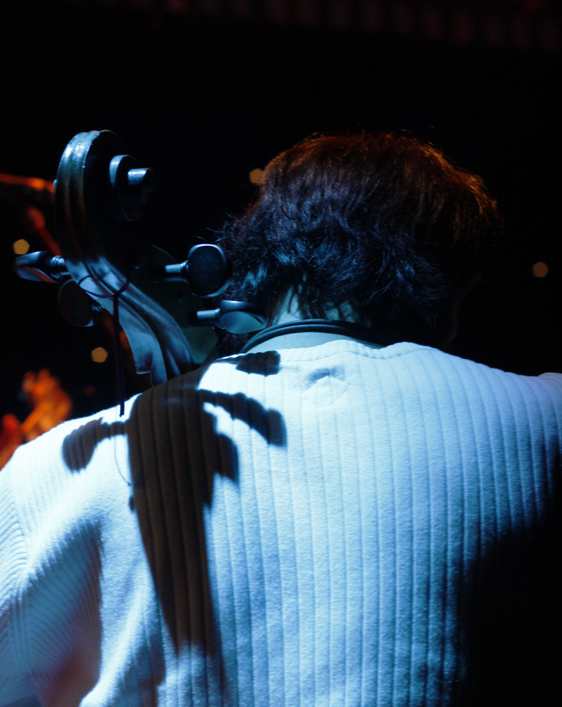 Zed Penguin.  Live at Limbo 10th November 2012